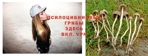 первитин Кинешма