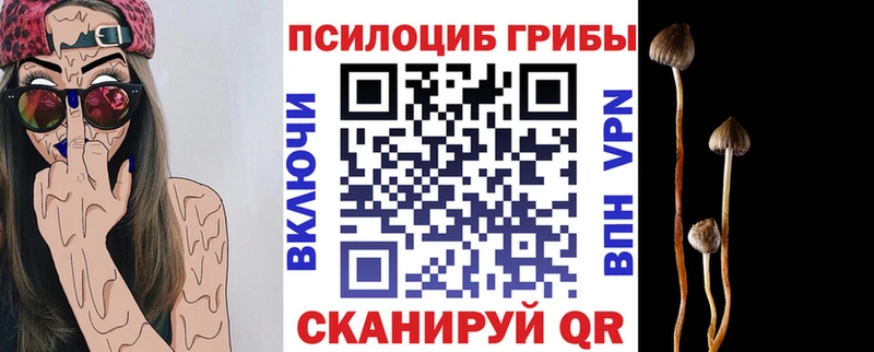 Купить закладки  Железногорск-Илимский  Галлюциногенные грибы мухоморы 